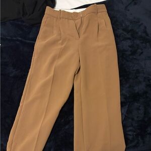 Aritzia Trousers